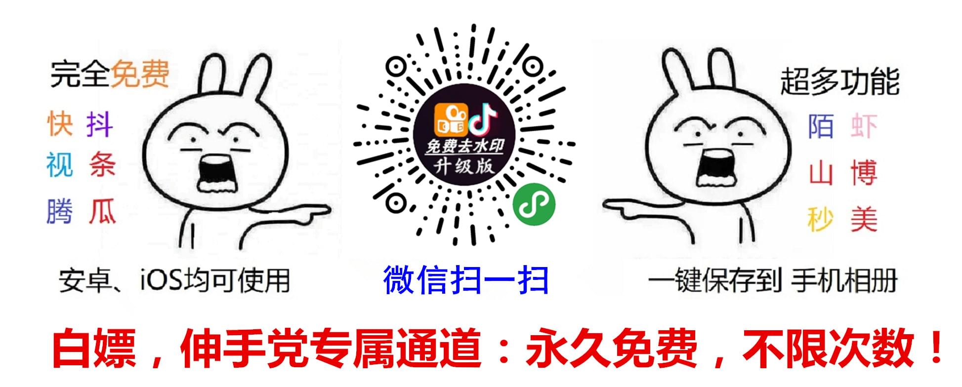 抖音快手去水印小程序