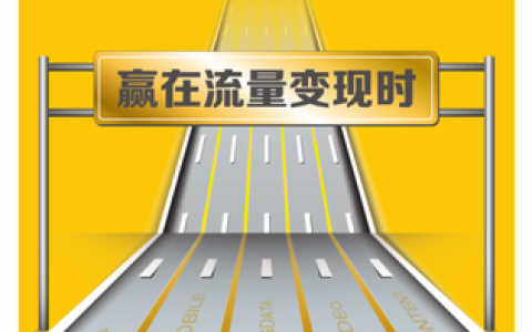 网站流量变现方式有哪些？网站广告联盟推广平台哪家靠谱