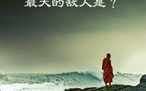 百度ssp封号怎么办？任何事情收益和风险都将并存