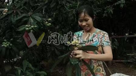 如何在家做自媒体赚钱？也许是当下最适合新手的产品