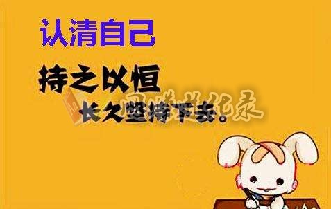 微信挂机平台挂挂赚PK微小宠，微信群挂机赚钱平台对比