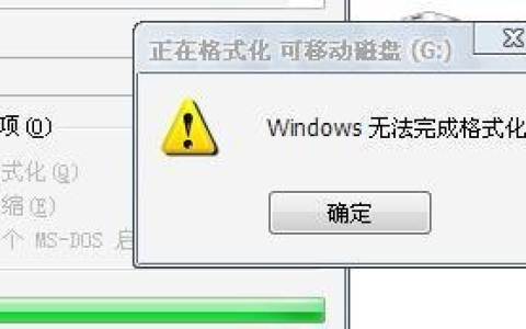 u盘格式化不了怎么解决？百度一圈未解决，这软件2秒搞定