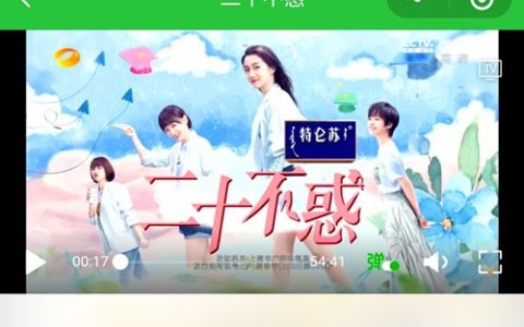 二十不惑电视剧免费在线观看完整版【公众号：zzksvip】