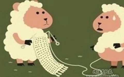 京东最新薅羊毛教程，一号多单利润丰厚