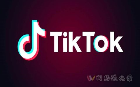 抖音国际版tiktok怎么赚钱？资深玩家如是说