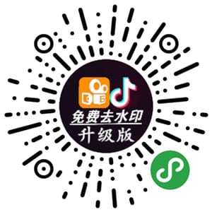 抖音去水印小程序源码