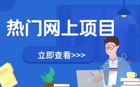 现在比较热门的网上项目，新手必看