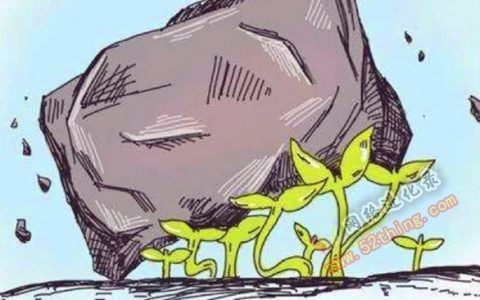 头条问答怎么才能有收益（问答平台哪家赚钱多）