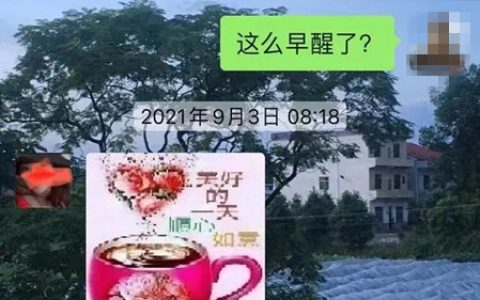 每天在群里发早安的人（微信上每天发早上好的人）