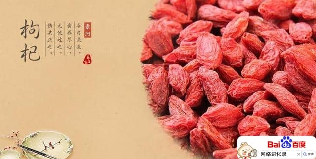 枸杞子的功效与作用泡水喝的功效，你造吗