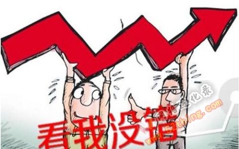 炒股养家炒股经历（炒股发家致富）