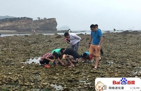 赶海视频都是假的？（赶海视频人气排名）