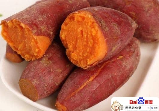 红薯的功效与作用（红薯的副作用）