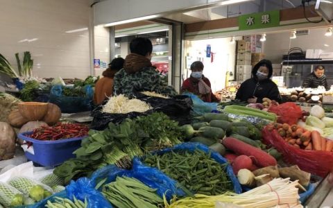 蔬菜批发生意新手怎么做（想做蔬菜批发怎么入手）