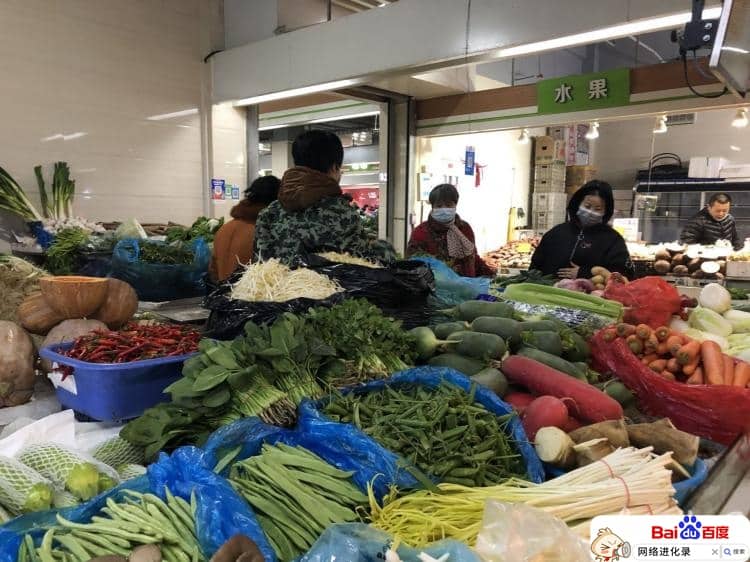 蔬菜批发生意新手怎么做（想做蔬菜批发怎么入手）