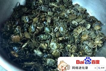 赶海视频都是假的？（赶海视频人气排名）