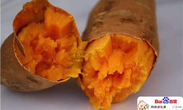 怀孕可以吃红薯不（孕妇每天吃红薯好不好）