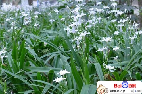 夏天去贵州旅游，这5种又黑又丑的土特产，你们真的会买么