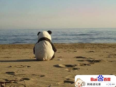 校园招聘和社会招聘的区别（校招和社招的待遇）