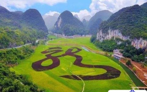 贵州土特产有哪些土特产送礼最好，村姑推荐！