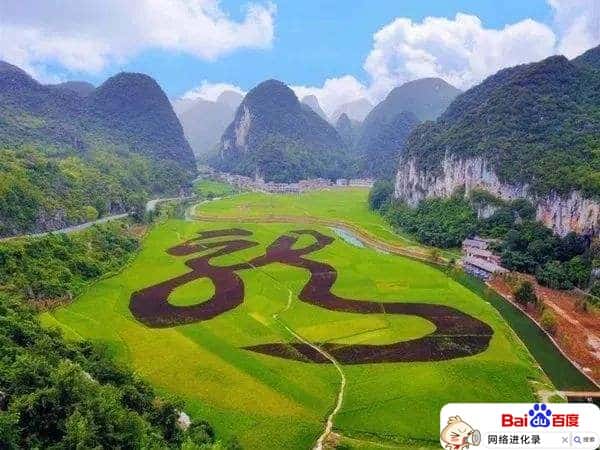 贵州土特产有哪些土特产送礼最好，村姑推荐！