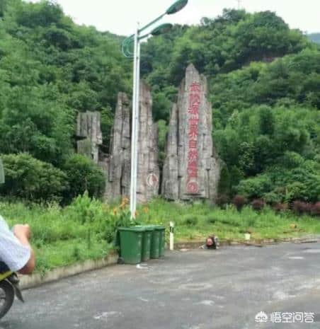 张家界景点排行榜（张家界市区旅游景点推荐）