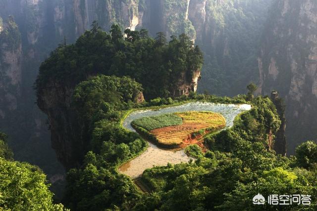 张家界景点排行榜（张家界市区旅游景点推荐）