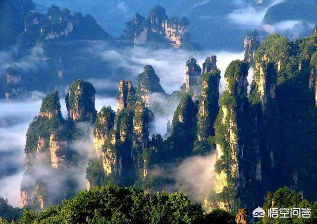张家界景点排行榜（张家界市区旅游景点推荐）