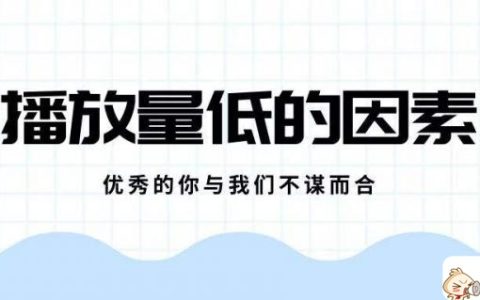 短视频为什么没有播放量（影响短视频播放量的因素）