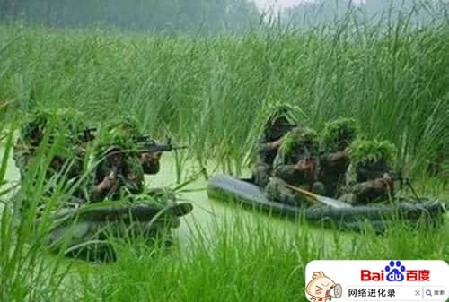 特种兵脸上为什么涂迷彩（面部迷彩怎么涂）