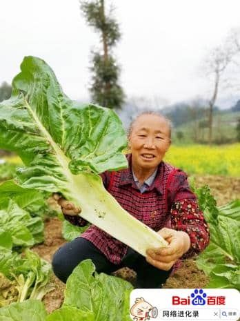 8张图告诉你农民种的蔬菜有多脏，记住不要直接吃