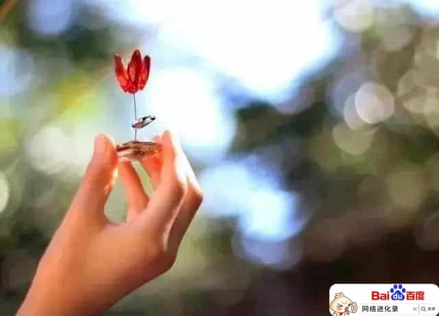 如何克服浮躁和焦虑（内心浮躁焦虑怎么办）