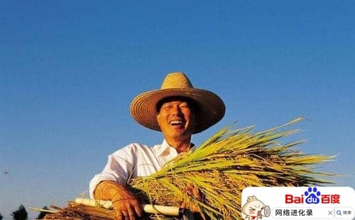 新手如何做三农自媒体及存在的问题，新人须知