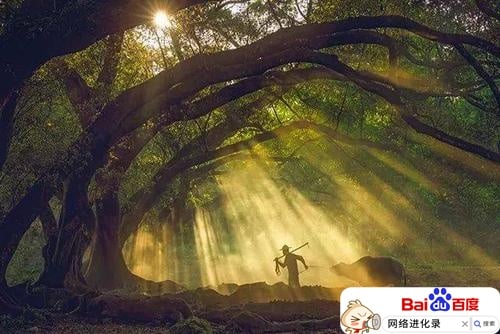 自己的秘密可以告诉别人吗（秘密能隐藏一辈子吗）