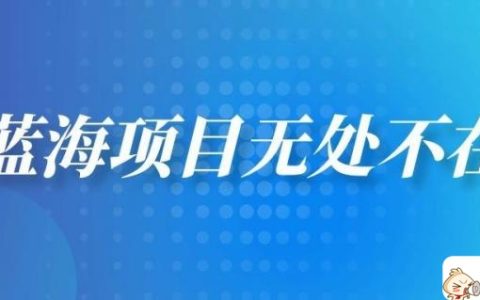 互联网蓝海项目有哪些？你得明白这个