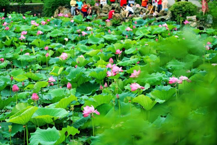 今日头条前期怎么养号（头条兴趣认证太难了）