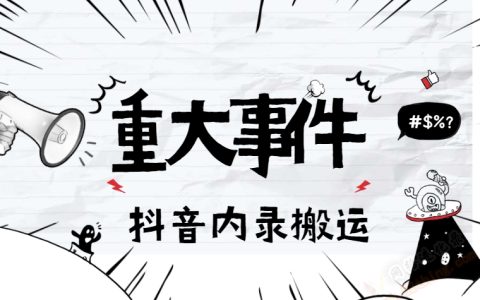 抖音内录小工具视频软件，搬运神器