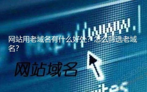 老域名的优点有哪些？实操经验告诉你