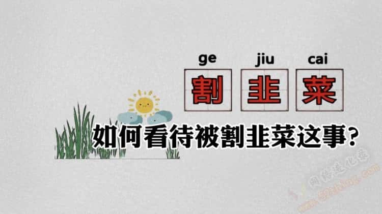 割韭菜是什么意思？常识普及