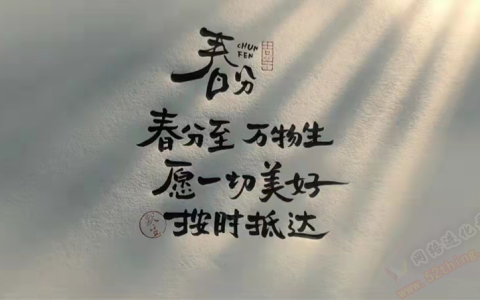 现在有哪些副业可以做？学搬运，下班搞副业