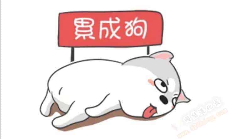 执行力的重要性和意义，结合案例说事