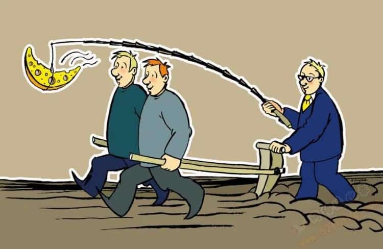 如何判断项目的真实可行性？两个方面分析