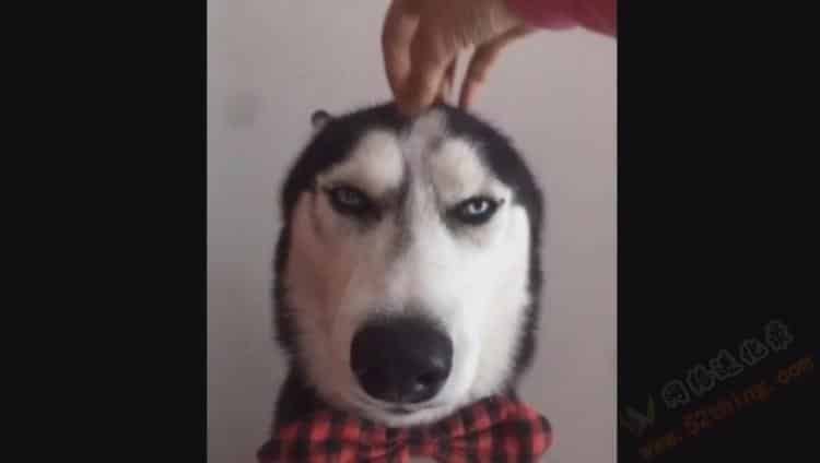 怎么去做一个赚钱的抖音账号？这个你得看