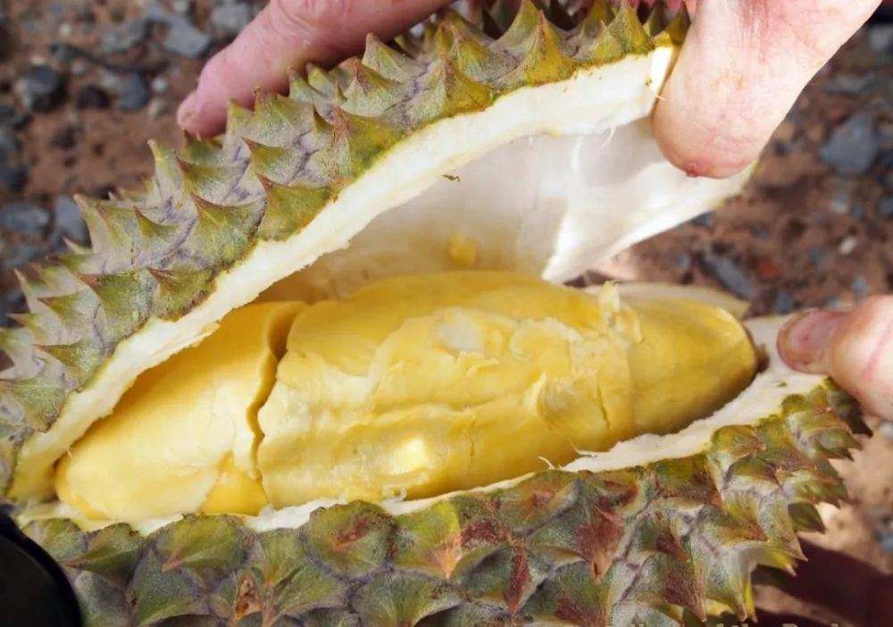 孟加拉打工多少钱一月？别！看看这个