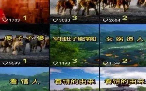 加入中视频计划后收益大吗（中视频计划怎么发视频）