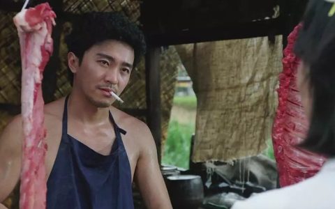 打造ip是什么意思（个人ip如何打造）