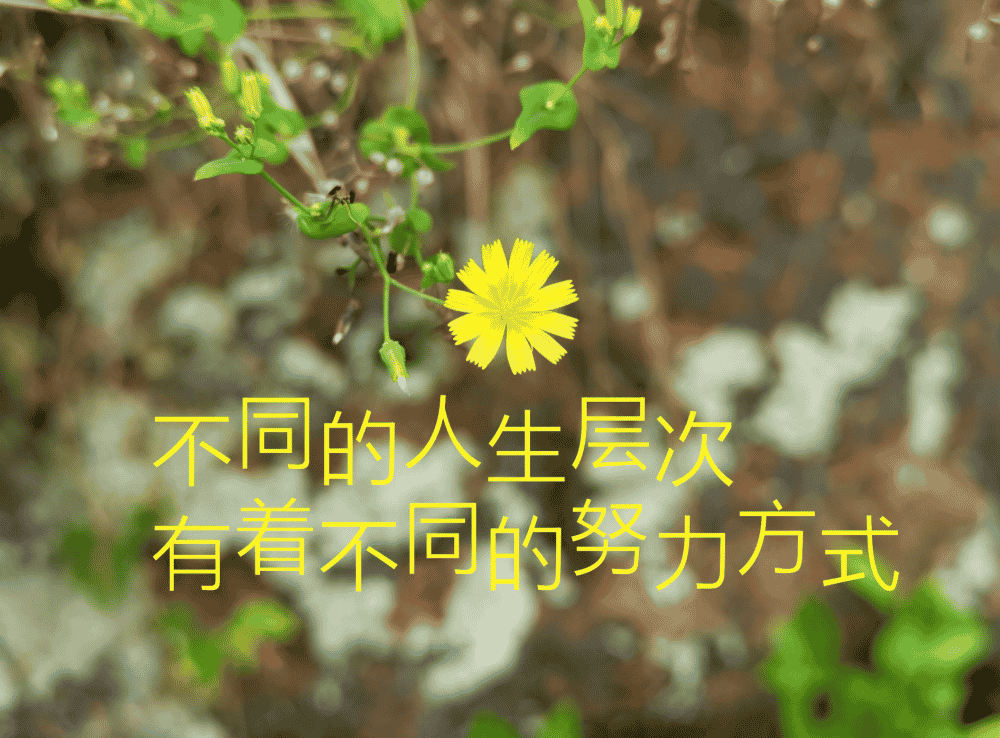 营销的本质：销售的本质是什么