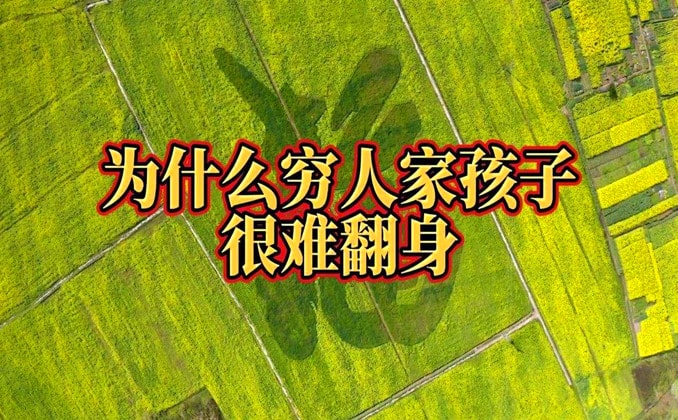 穷人家的孩子为什么难以翻身？看看这个吧