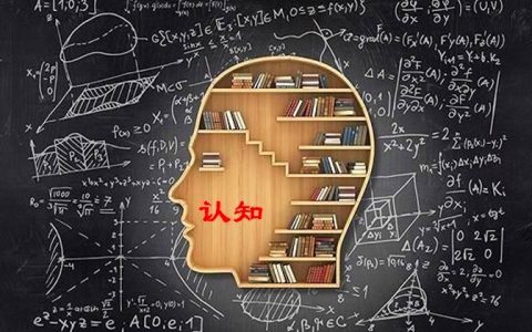 认知是什么意思，认知偏差该觉醒了