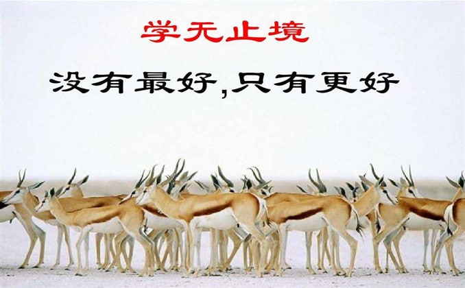 京东达人：又一个可以复制粘贴的项目
